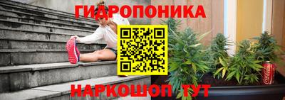 гашик Кунгур